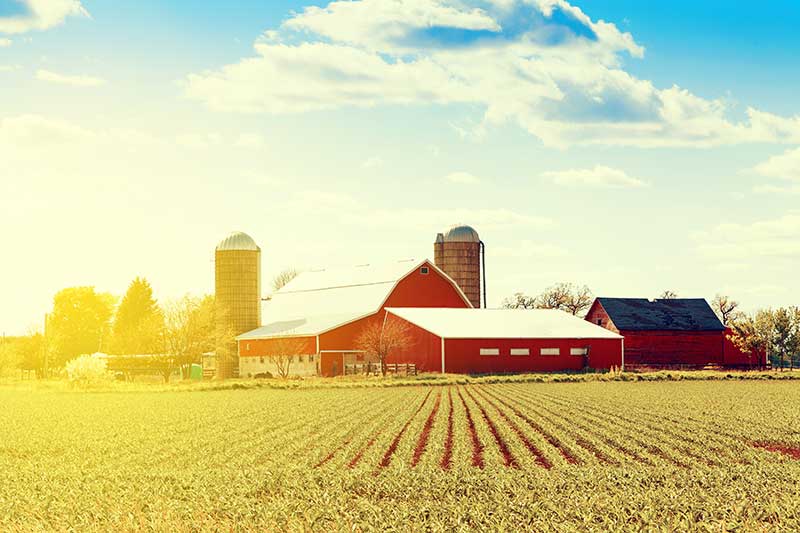 Farm Insurance